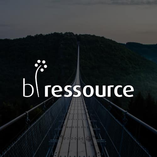 Refonte d&rsquo;un site internet de recrutement et conseil RH : b ressource
