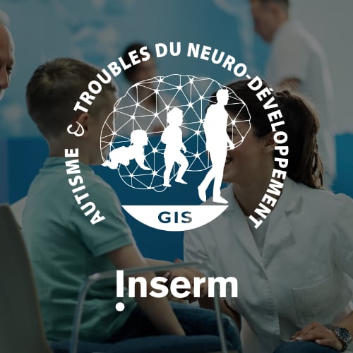Cr&eacute;ation du site internet du GIS Autisme et Troubles du Neuro-D&eacute;veloppement, projet gouvernemental port&eacute; par l'INSERM
