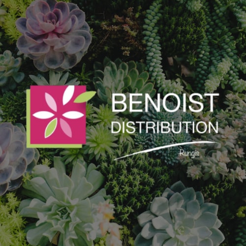 Vignette r&eacute;alisation Benoist Distribution